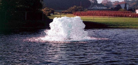 Installing a Landscape Pond