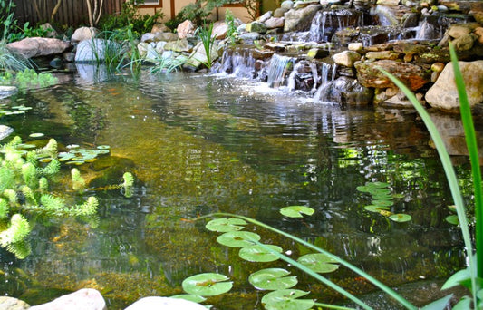 Difference Between Second Home and Second Pond