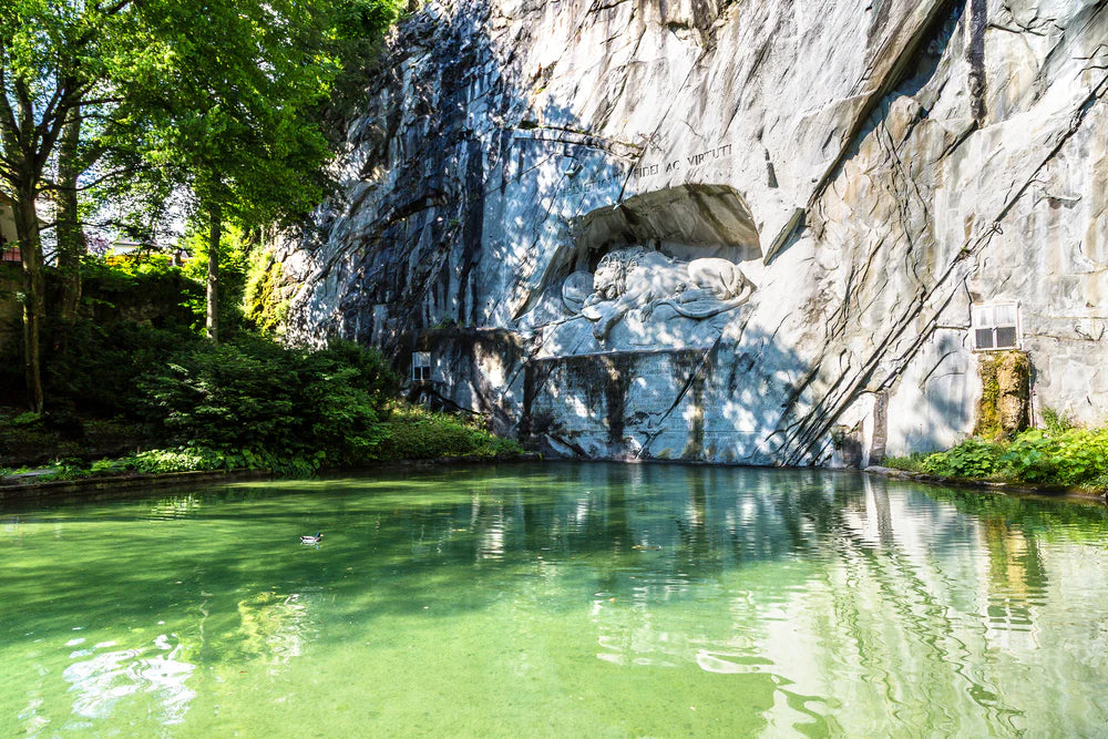 The Best Guide for a Dyed Pond and Its Benefits