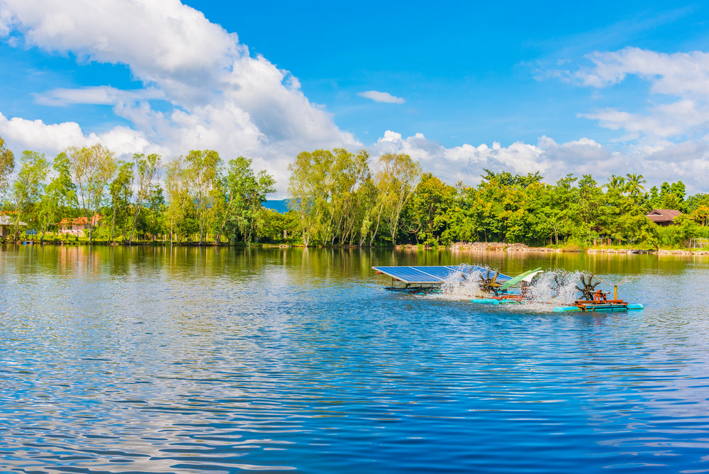 Benefits of Aeration in Pond Water Treatment