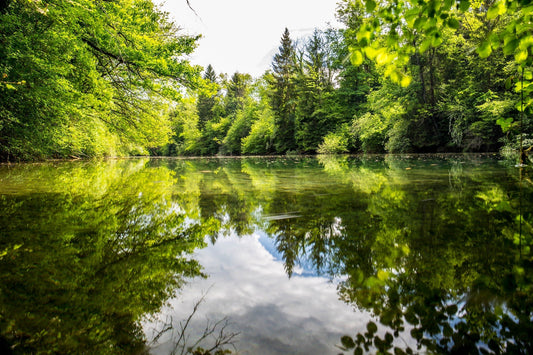 How to Repair Pond Liner