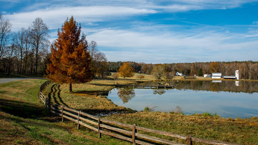 Keep your family safe with child proof pond fencing from Living Water Aeration. Our team can help you create a customized solution for your pond safety needs.
