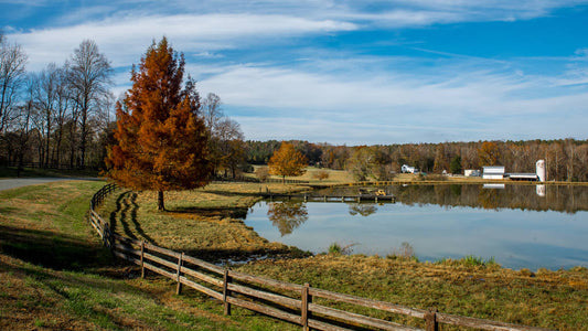 Keep your family safe with child proof pond fencing from Living Water Aeration. Our team can help you create a customized solution for your pond safety needs. 