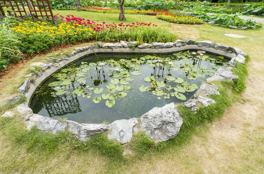 Pond Size Calculator: How Large Does My Pond Need to Be? | Living