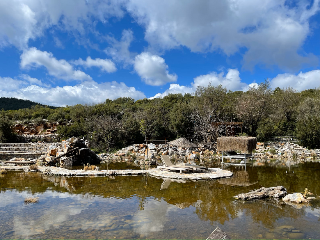 Gravel Ponds: Where to Buy High-Quality Gravel