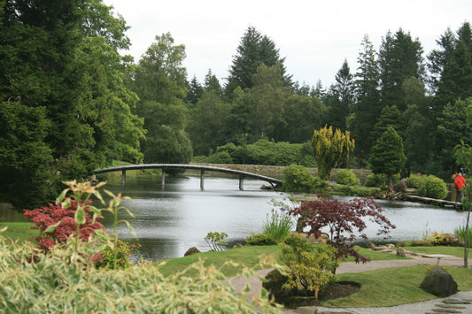 Raised Garden Pond Ideas for Small and Stylish Gardens