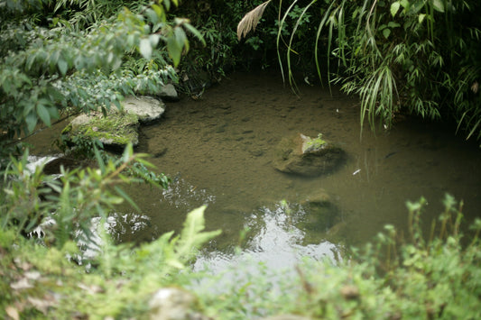 Water Diffuser Uses and Benefits for Ponds