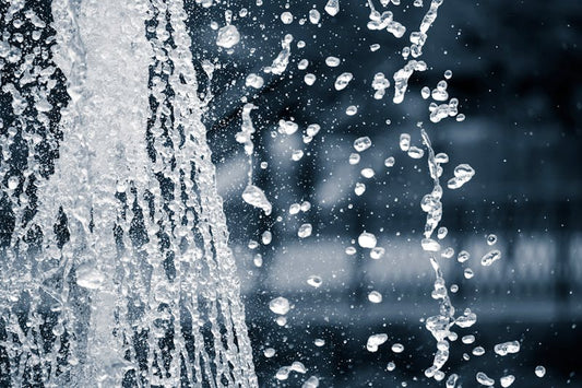 Do Water Fountains Have Filters? Everything You Need to Know