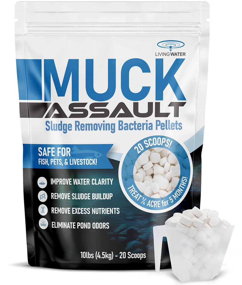 Muck Assault Sludge Remover Pellets from Easypro, designed to reduce sludge in ponds, safe for fish, and effective for treating murky water.