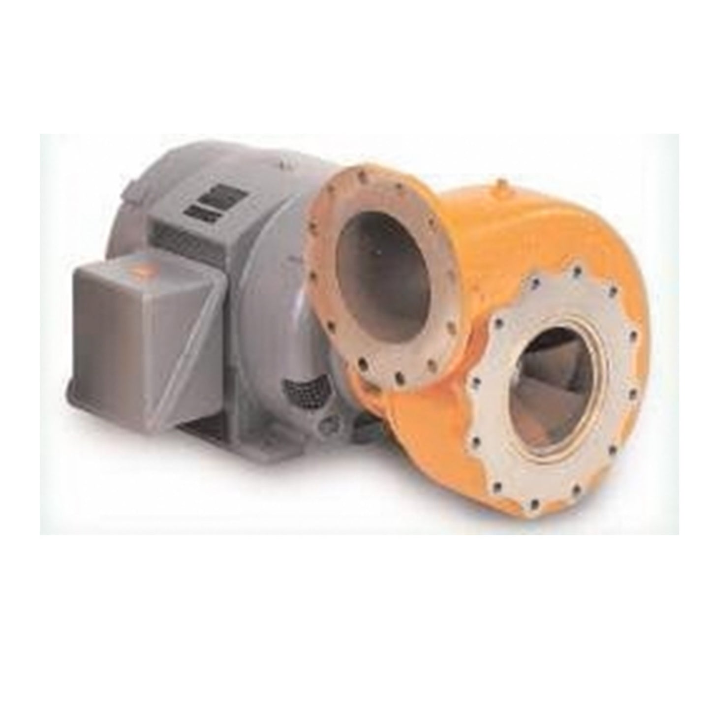 5 HP Berkeley High Volume Centrifugal Pump