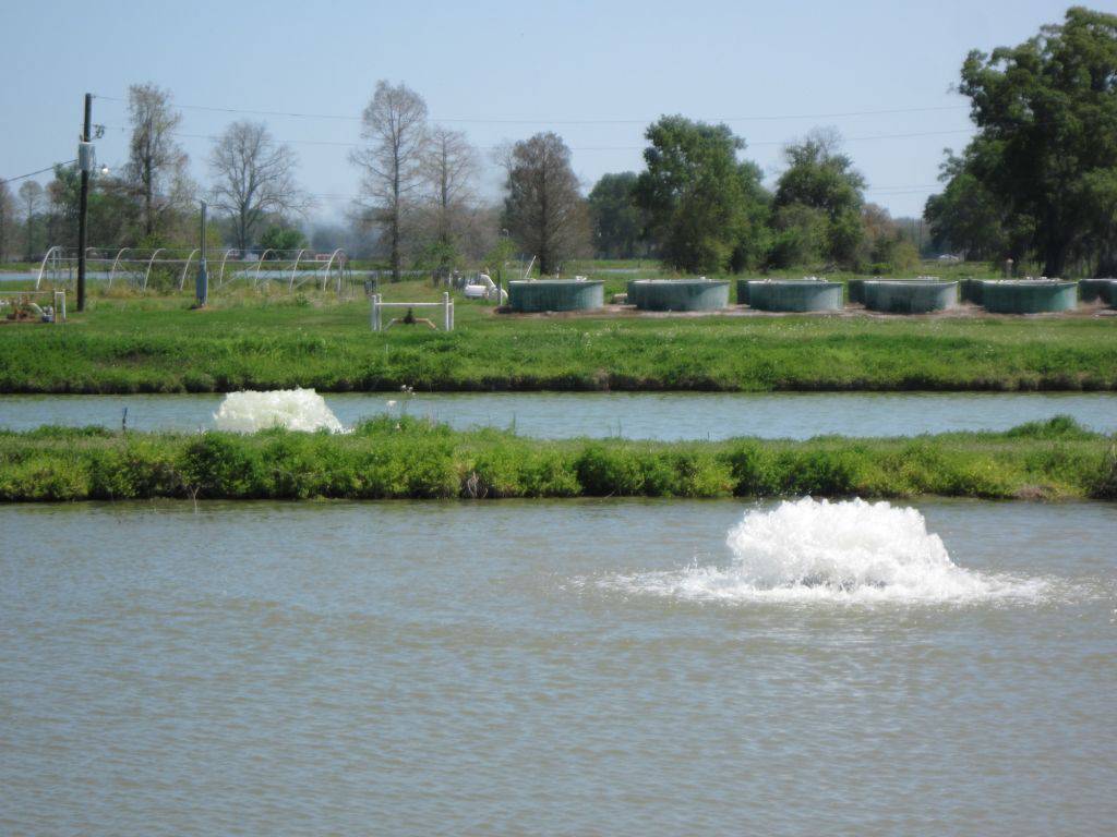 Kasco Marine 8400HAF 2 HP Surface Pond Aerator - 240v.