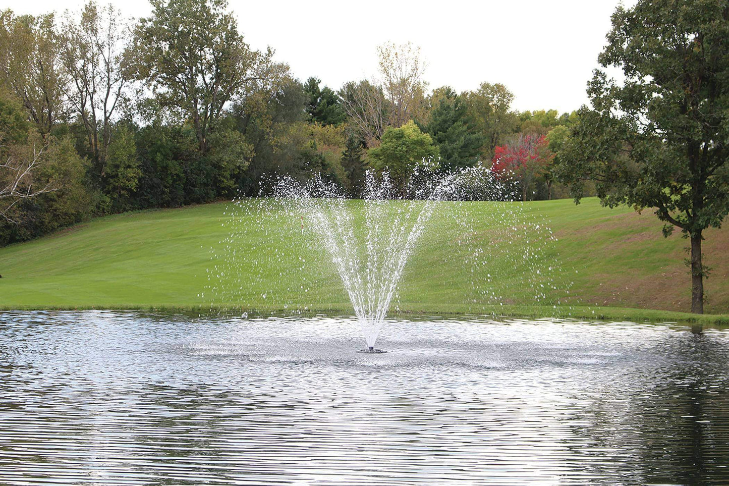 Kasco 4400HJF 1 HP Decorative Pond Fountain - 230V spraying decorative water pattern in medium-sized pond