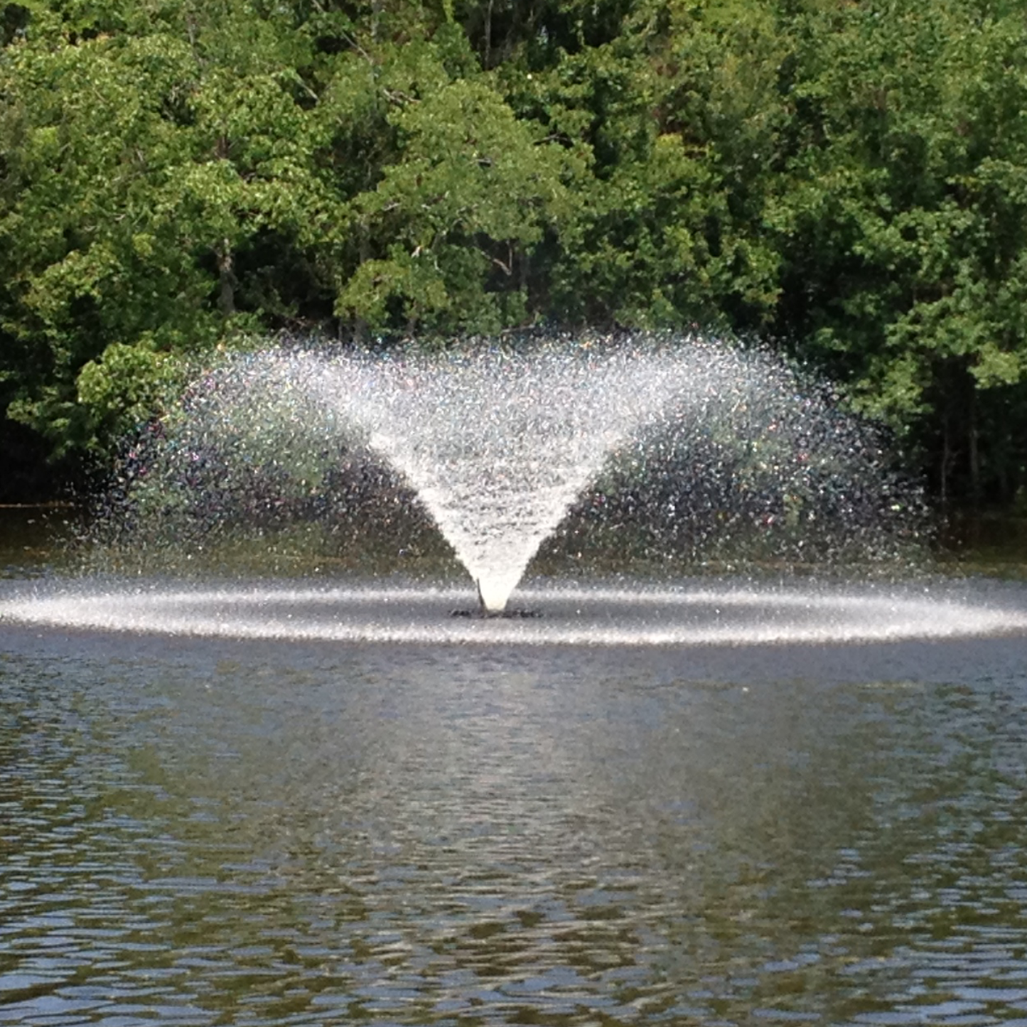 Kasco 4400HVFX 1 HP Kasco Display Fountain Pond Aerator - 230V