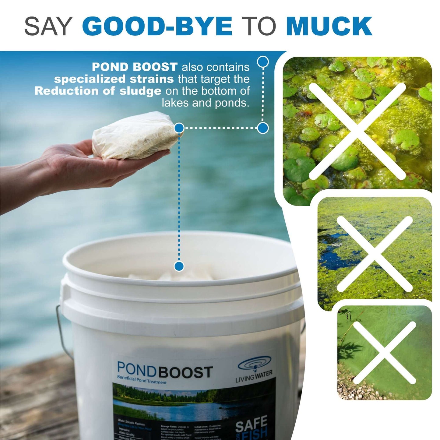 Pond Boost Beneficial Bacteria.