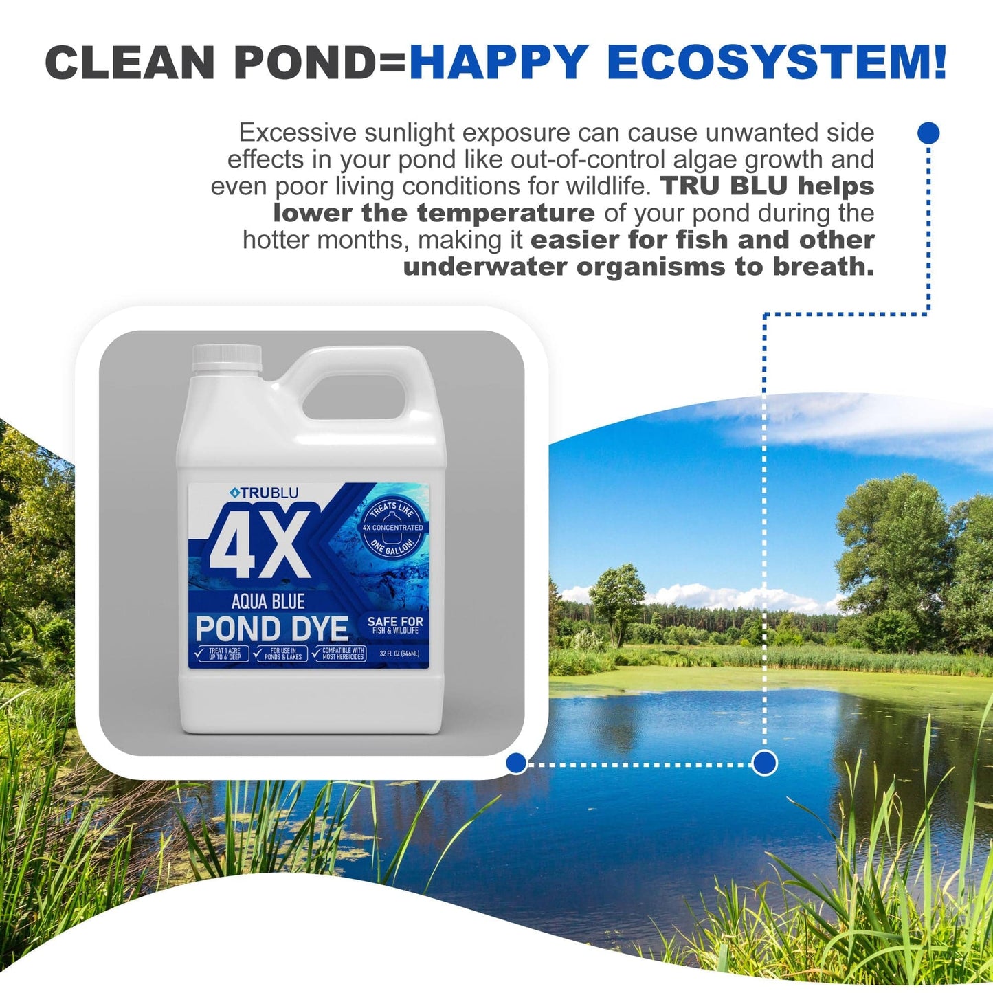Complete Pond Rejuvenation Kit.