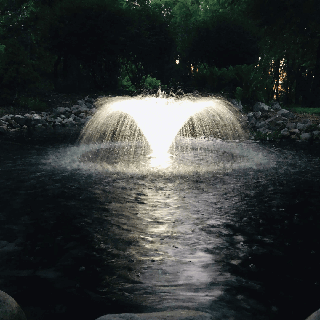EasyPro floating pond fountain with LED lights creating a bright starburst spray and cool-white glow in a small pond at night