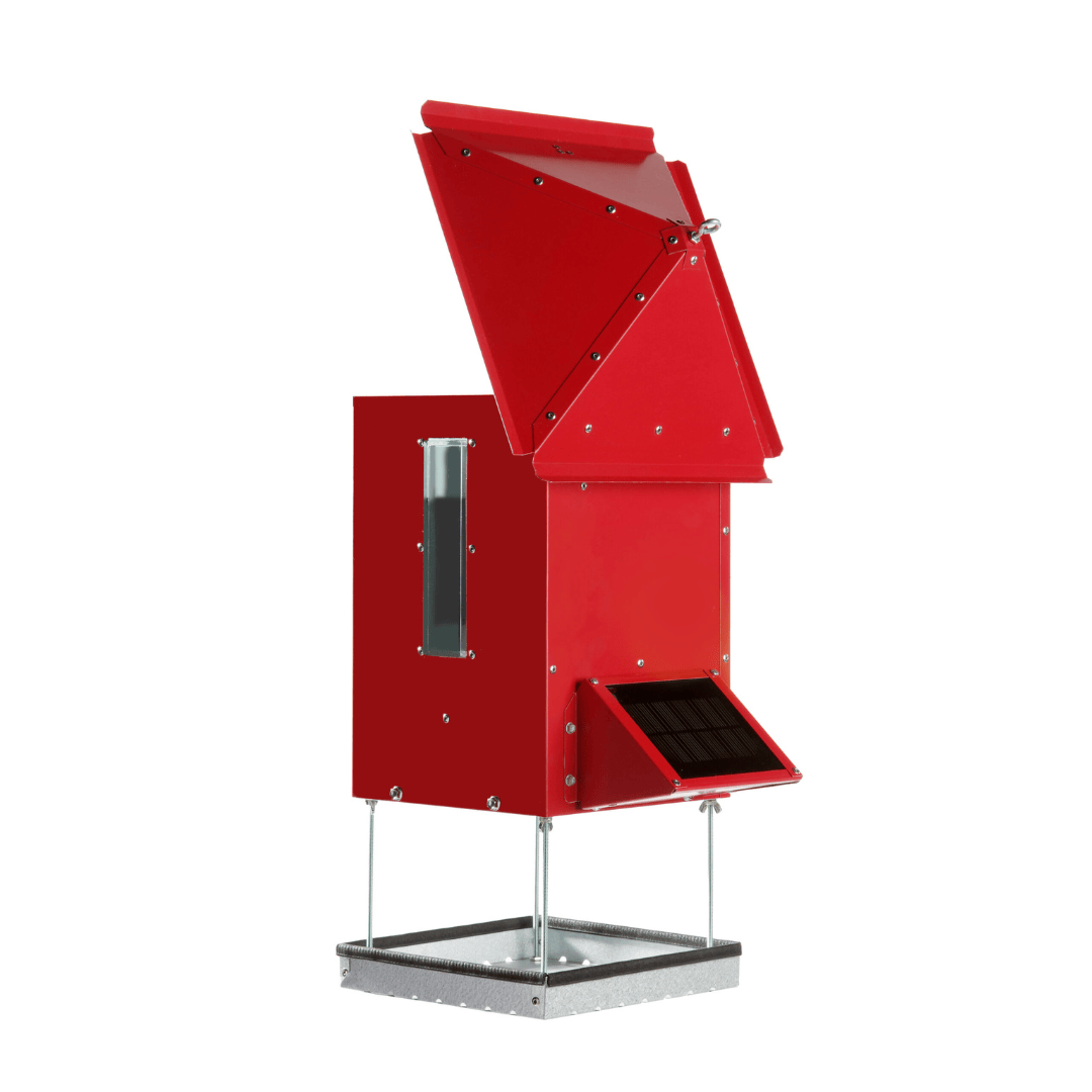 Sweeney - Bird Bistro - Automatic Feeder.