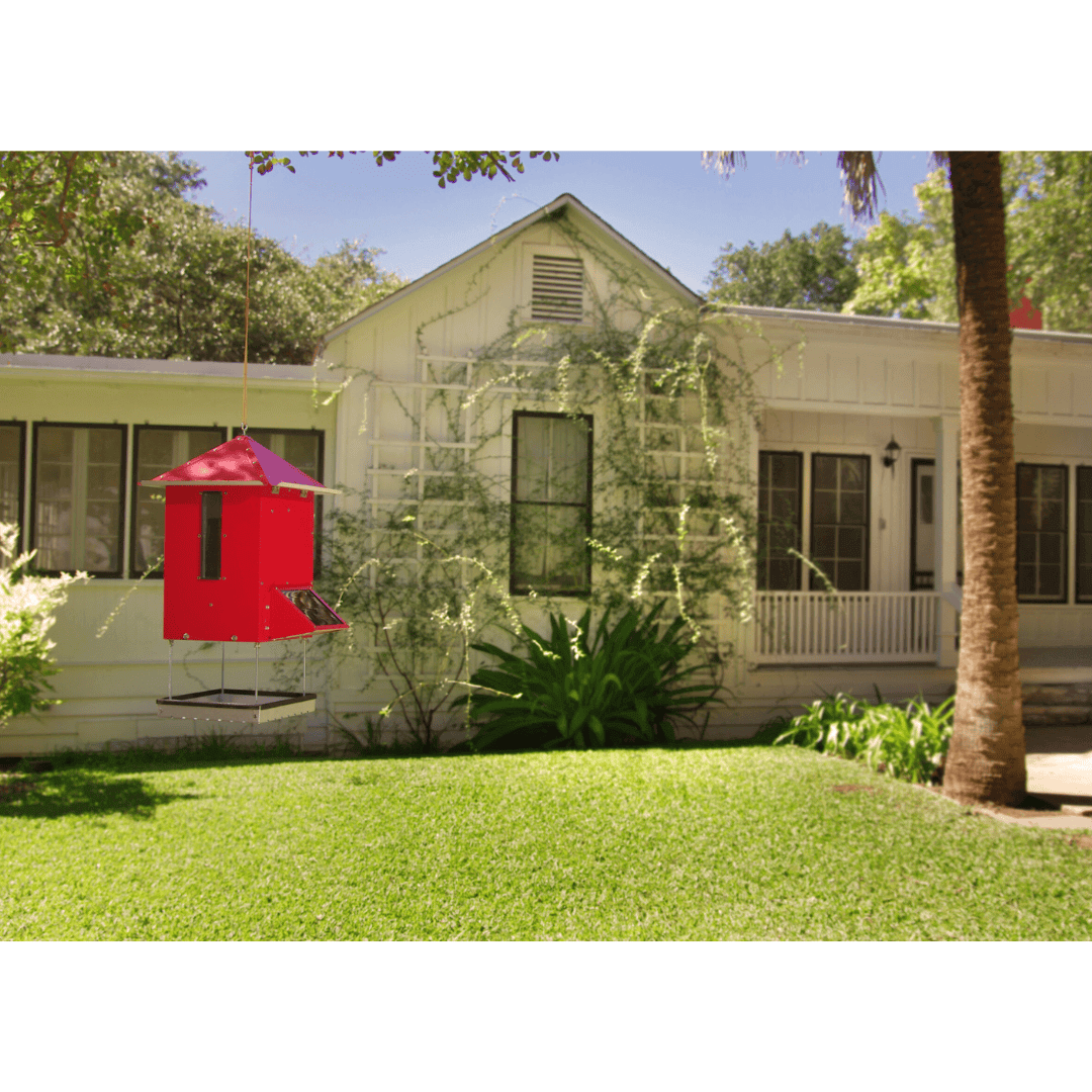 Sweeney Bird Bistro automatic bird feeder with digital timer hanging in backyard near house, red feeder for scheduled bird feeding