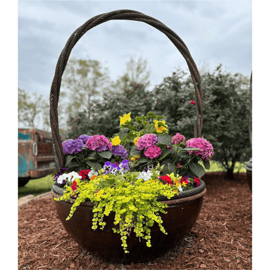 37" Garden Basket - Carbon Steel Feature - 100% USA Made.
