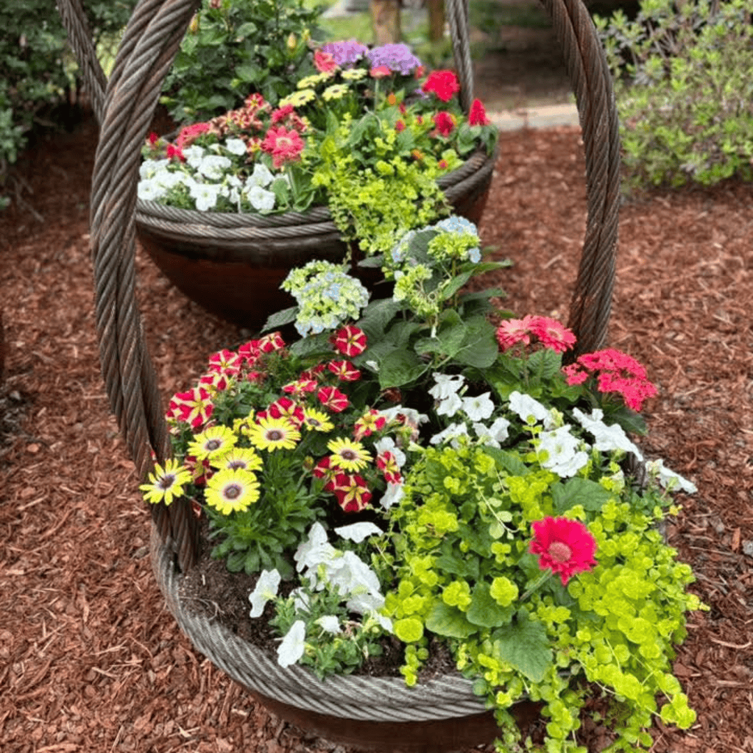 41" Garden Basket - Carbon Steel Feature - 100% USA Made.