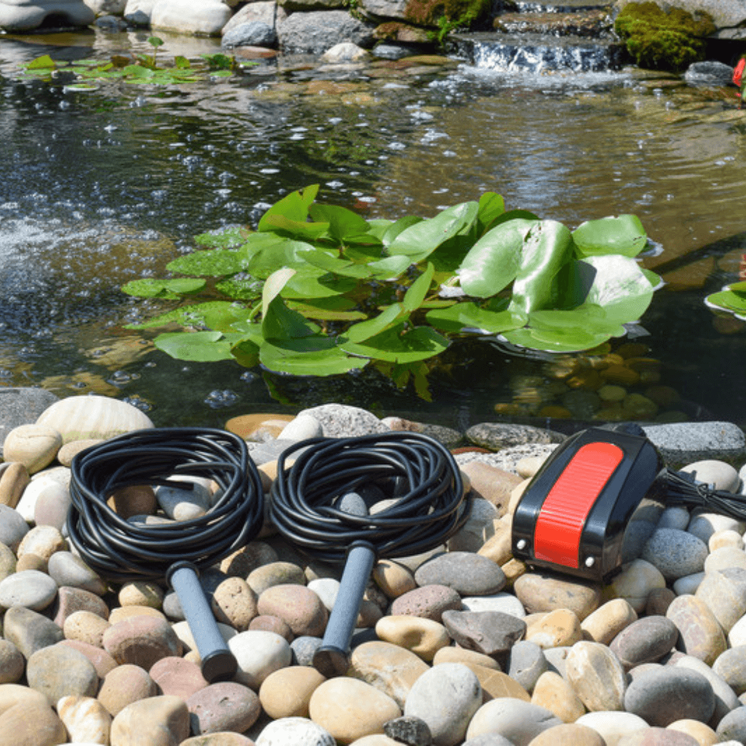dual outlet pond aerator kit up to 2000 gallons complete aeration system with dual diffusers and pump beside pond