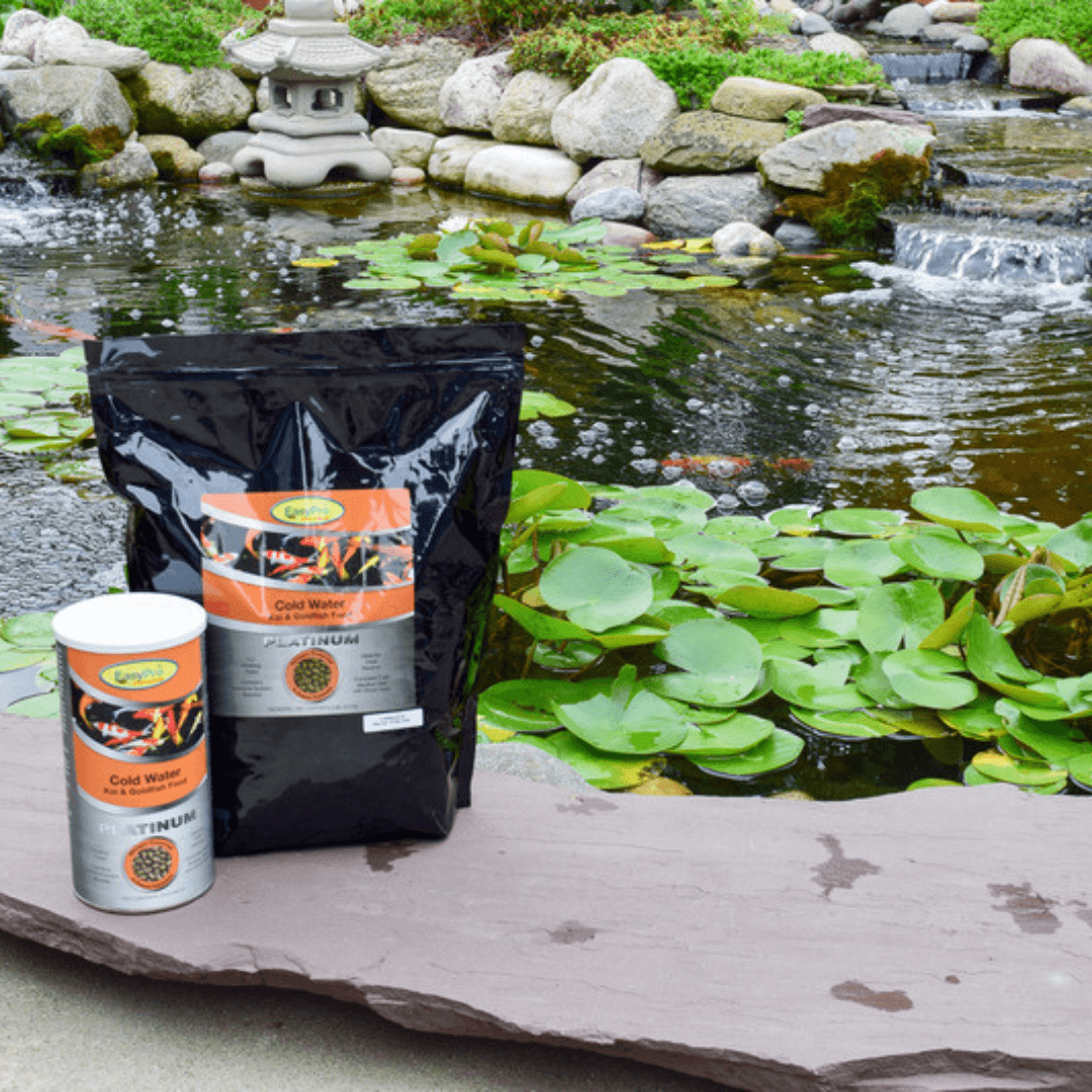 Platinum Koi & Goldfish Food cold weather formula, cold water koi and goldfish food with wheat germ by pond with lily pads