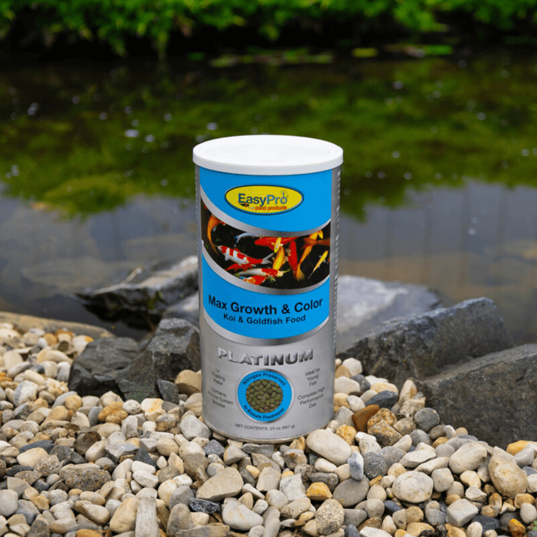 Platinum Max Growth & Color koi and goldfish growth and color food floating pellets container by pond rocks