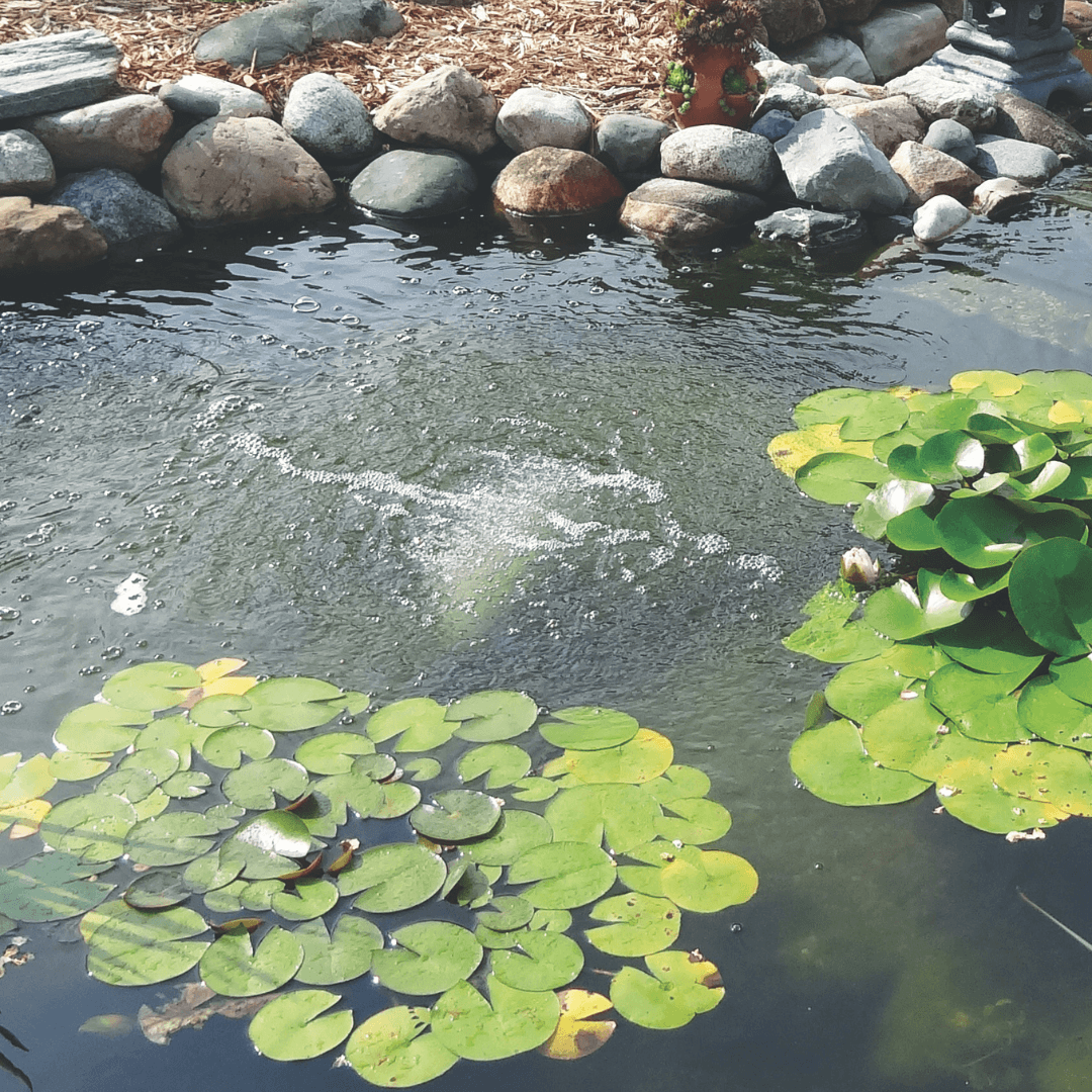 Pro-Clear Aire™ Aeration Compressors - Living Water Aeration