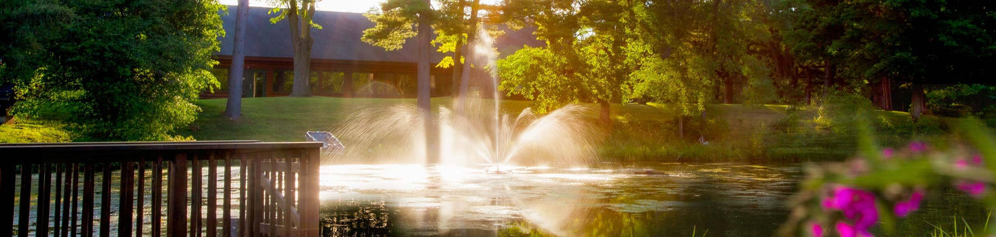 Scott Aerator Solar Skyward 1/2 HP solar pond fountain spraying Skyward pattern in pond at sunrise with two-panel solar power