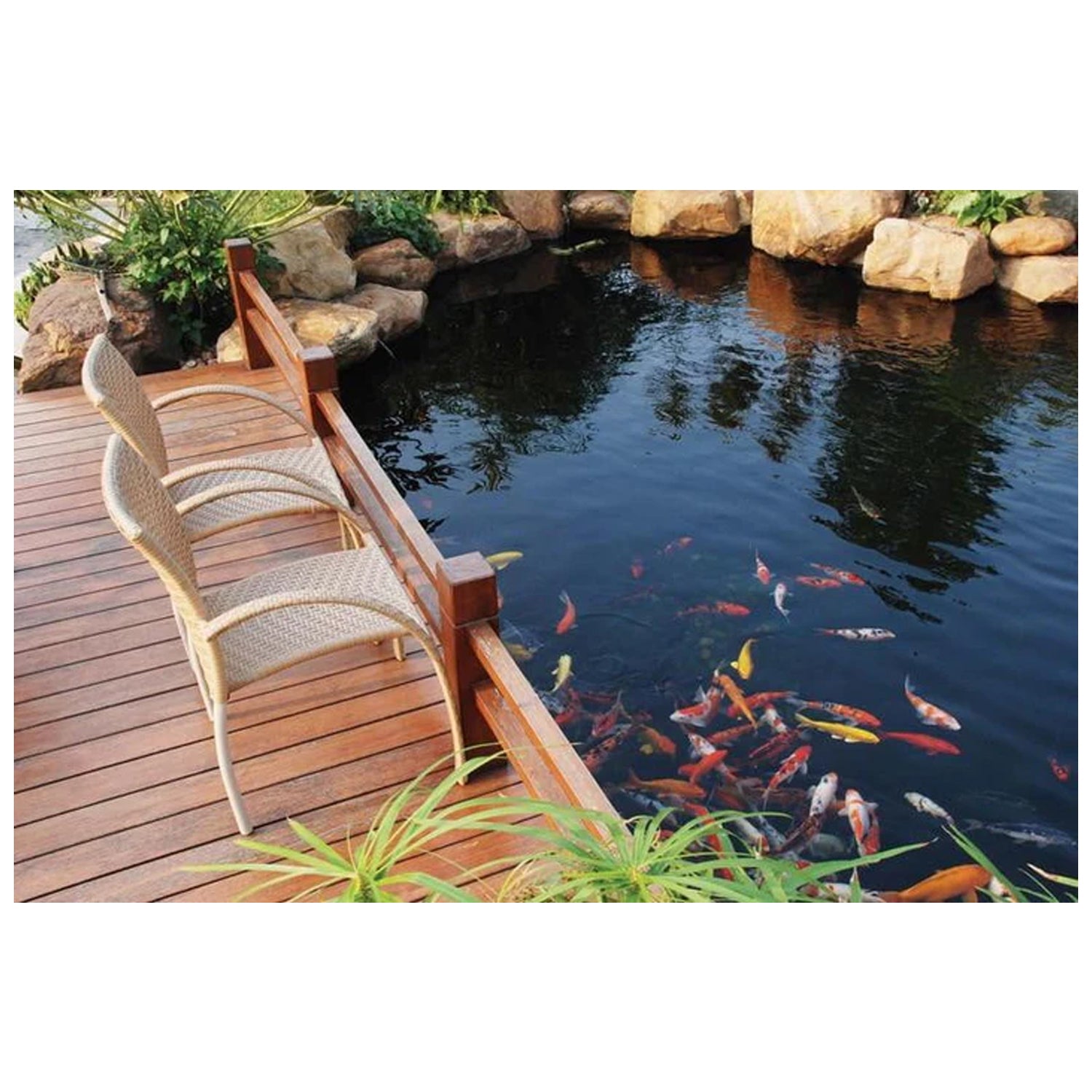 http://www.livingwateraeration.com/cdn/shop/files/koi-pond-kit-max-3500-gallons-27jpg-Resize.jpg?v=1685722746