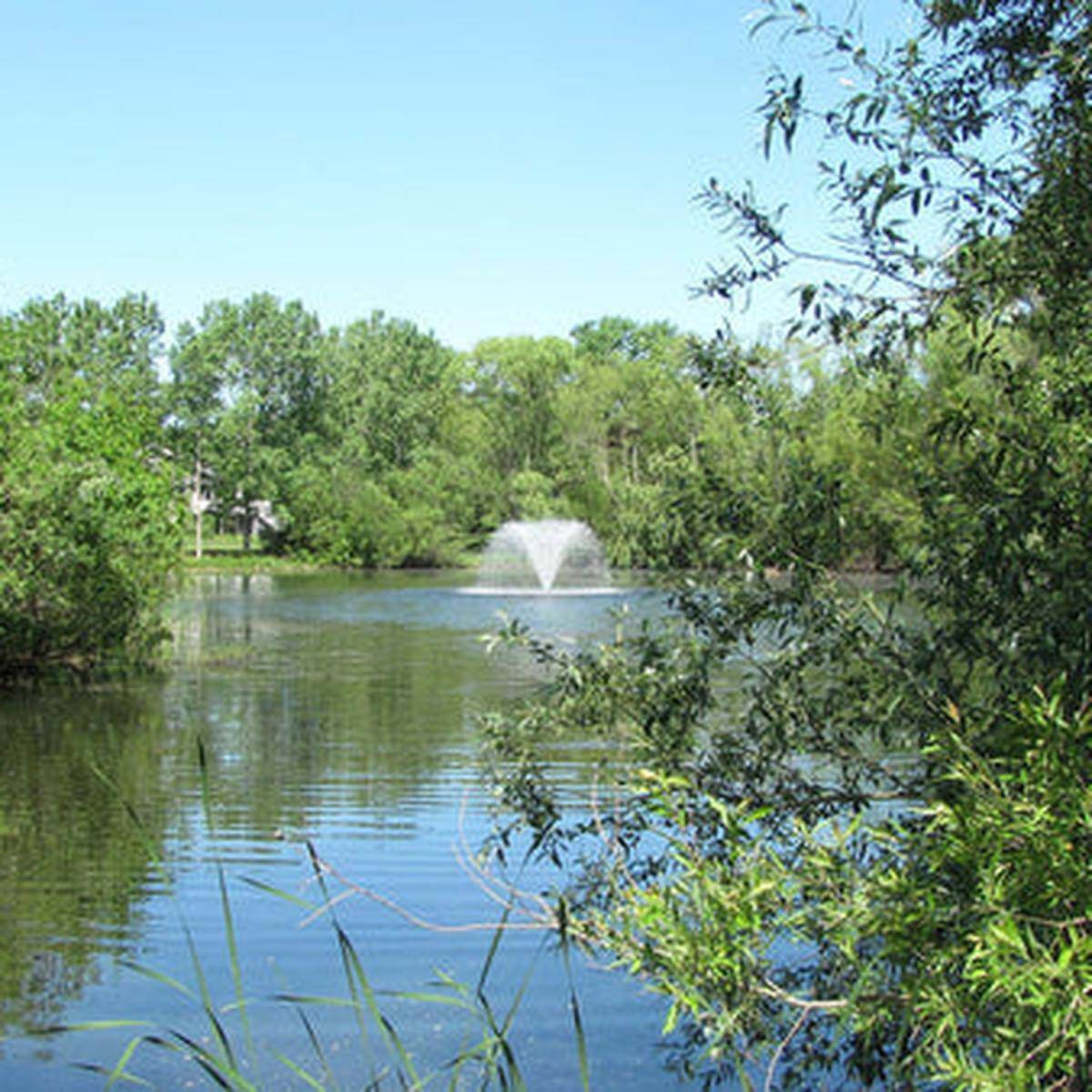 Scott Aerator North Star fountain aerator spraying decorative water display in a pond surrounded by trees