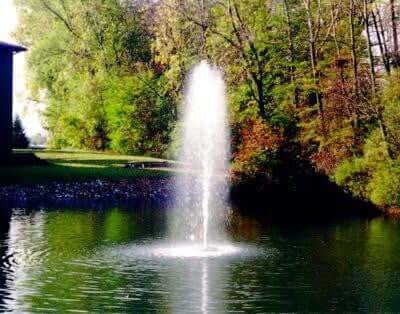 Easypro 1 HP Aqua Fountain floating pond fountain with tall vertical spray for professional park-look water display