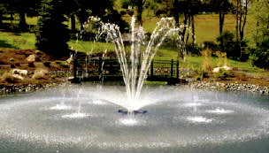 Otterbine Constellation Floating Pond Fountain.