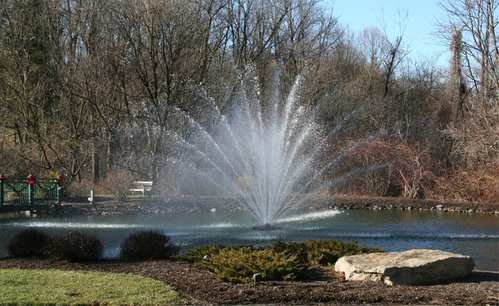 Otterbine Equinox Floating Pond Fountain - Living Water Aeration