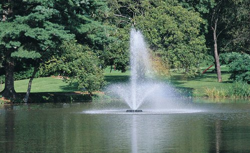 Otterbine Phoenix Floating Pond Fountain.