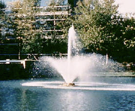 Otterbine Phoenix Floating Pond Fountain.