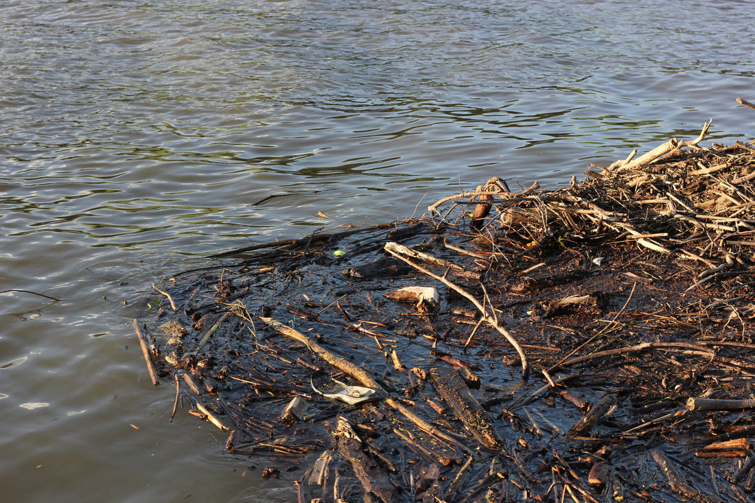 What Is the Best Way to Get Rid of Muck on a Pond's Bottom?
