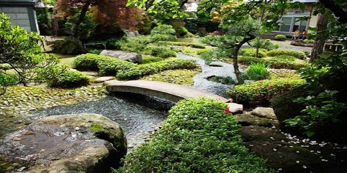 9 Tips for Building a Water Garden