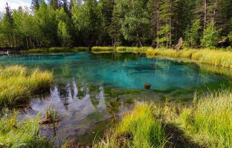 Manage Farm Pond for Productive Recreation