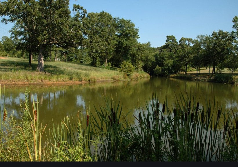 Facts About Pond Management