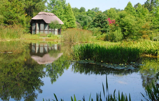 Things to Know About Pond Water Management