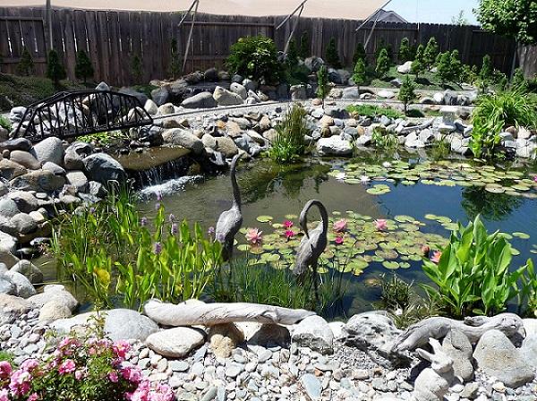 Optional Additions to Your Pond