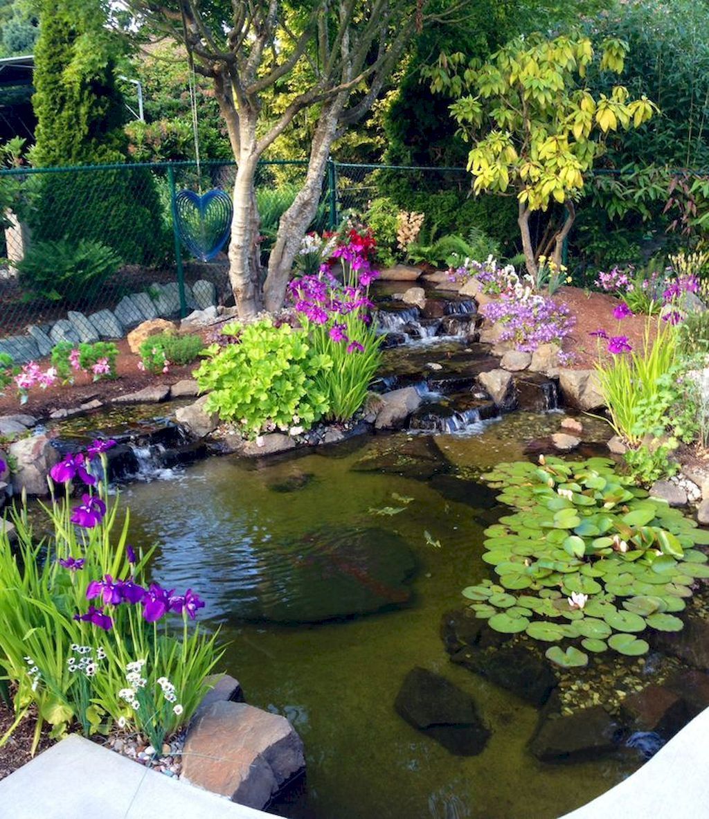 6 Reasons Why You Should Build a Pond