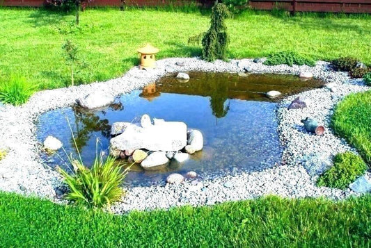 Top Reasons You Should Have a Pond in Your Backyard