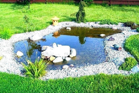 Top Reasons You Should Have a Pond in Your Backyard