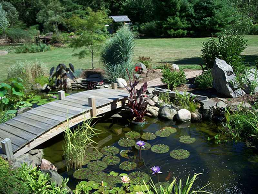 What You Need for Pond Installation
