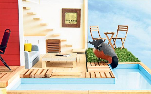 Luxury Bird Houses, Complete with Swimming Pool & Furniture