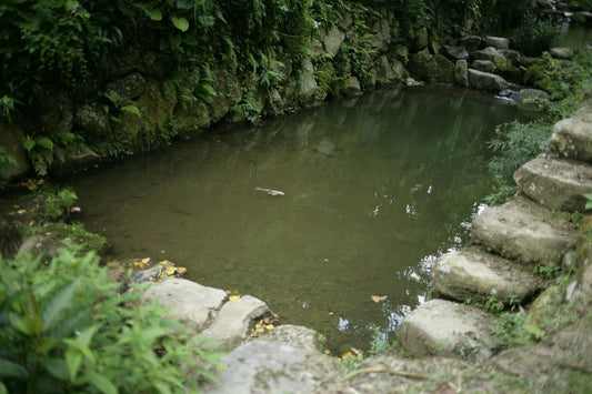 DIY backyard pond ideas