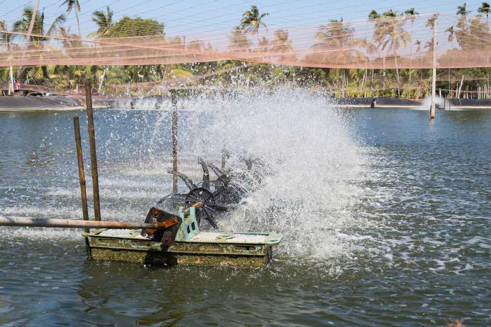 Which is The Best Pond Aerator? Buying Guide Inside