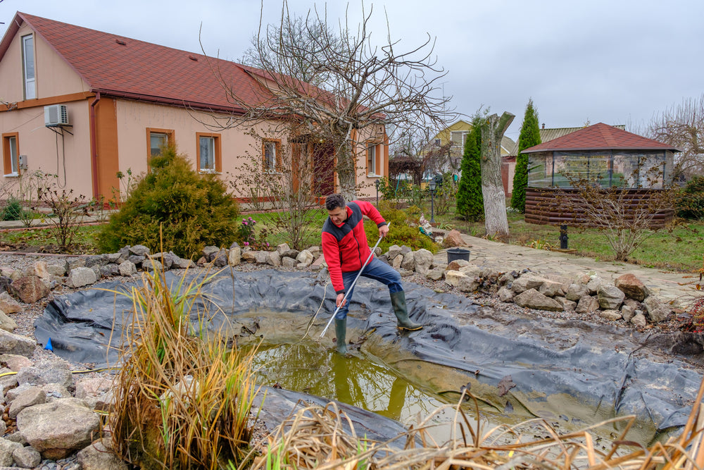 Best Tips to Properly Take a Pond Care Winter